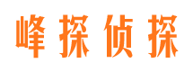 驿城寻人公司